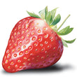 Load image into Gallery viewer, Organabus Strawberry CBD Gummies