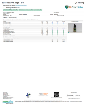 300 mg & 1000 mg CBD Tincture Bundle