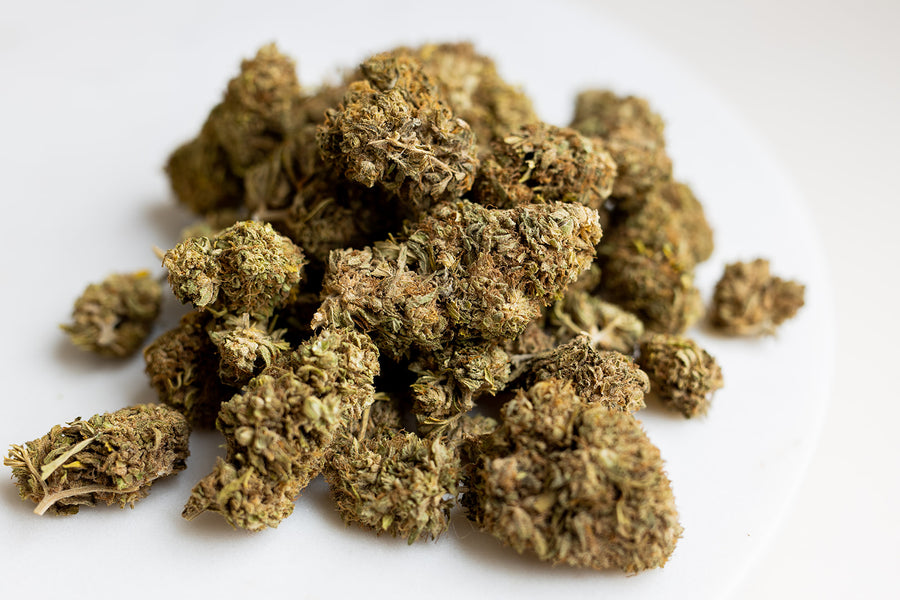 1 Pound of CBD Hemp Kush wholesale